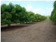 255C Townend Rd, Noonamah NT 0837