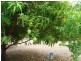 255C Townend Rd, Noonamah NT 0837