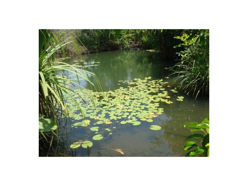 Sec 2936 & 2937 Batchelor Rd, Batchelor NT 0845