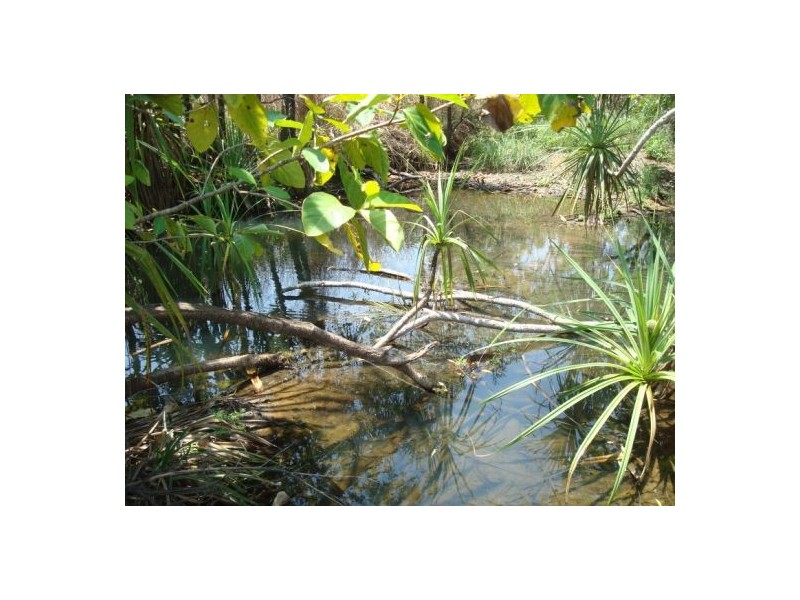 Sec 2936 & 2937 Batchelor Rd, Batchelor NT 0845