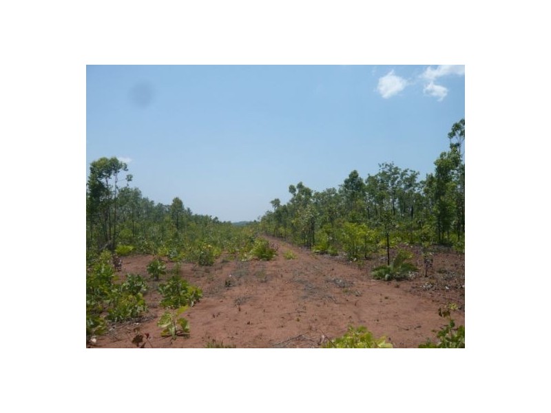 Sec 2936 & 2937 Batchelor Rd, Batchelor NT 0845