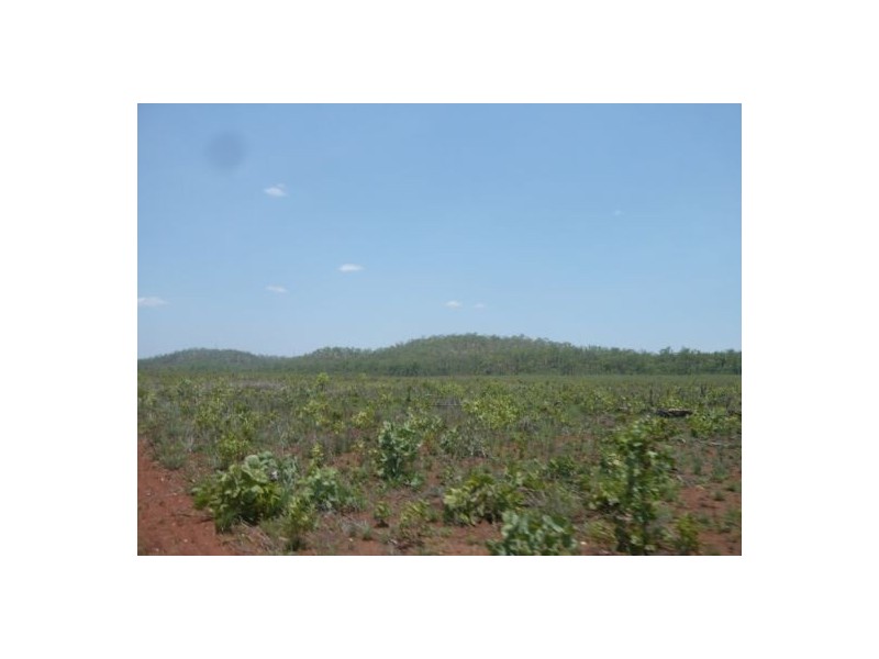 Sec 2936 & 2937 Batchelor Rd, Batchelor NT 0845