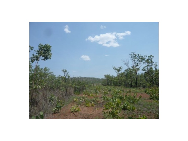 Sec 2936 & 2937 Batchelor Rd, Batchelor NT 0845