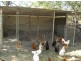 585 Mocatto Rd, Acacia Hills NT 0822