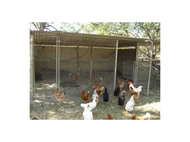 585 Mocatto Rd, Acacia Hills NT 0822