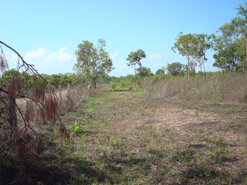 430 Peacock Rd, Darwin River NT 0841