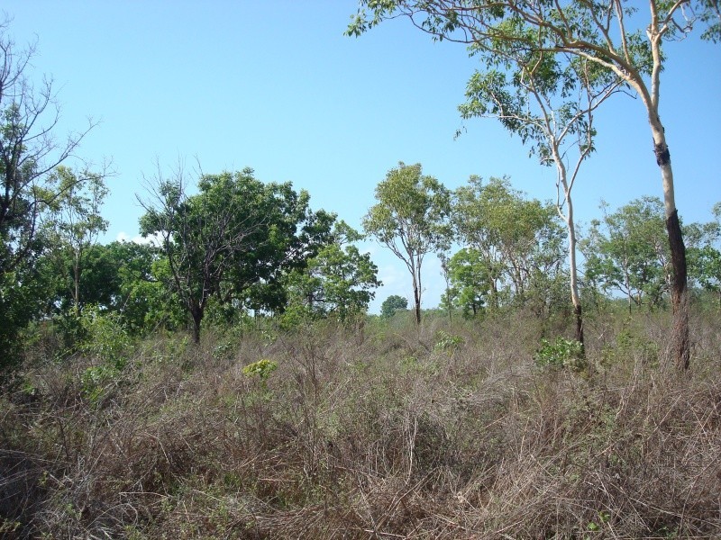 430 Peacock Rd, Darwin River NT 0841