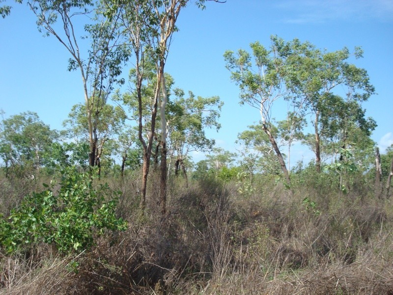 430 Peacock Rd, Darwin River NT 0841