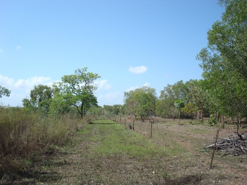 430 Peacock Rd, Darwin River NT 0841