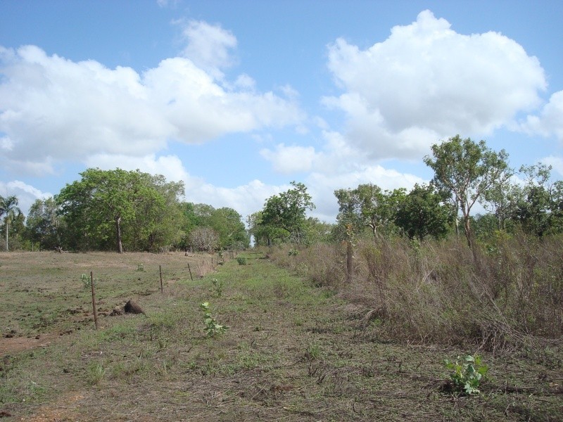430 Peacock Rd, Darwin River NT 0841