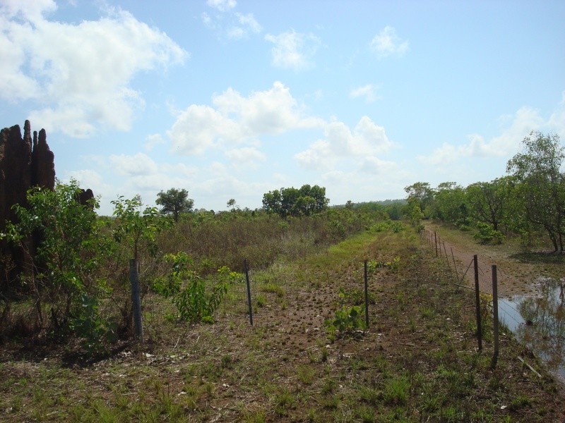 430 Peacock Rd, Darwin River NT 0841