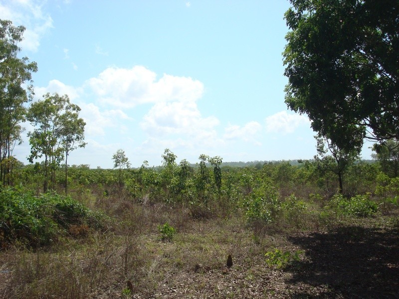 430 Peacock Rd, Darwin River NT 0841