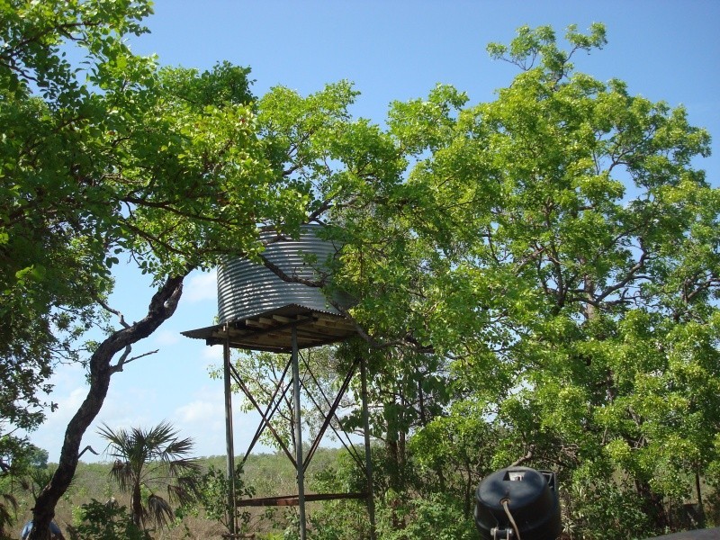 430 Peacock Rd, Darwin River NT 0841