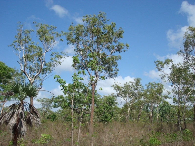 430 Peacock Rd, Darwin River NT 0841
