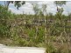 1672 Leonino Rd, Darwin River NT 0841