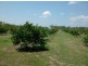 425 / 441 Barr Rd, Marrakai NT 0822