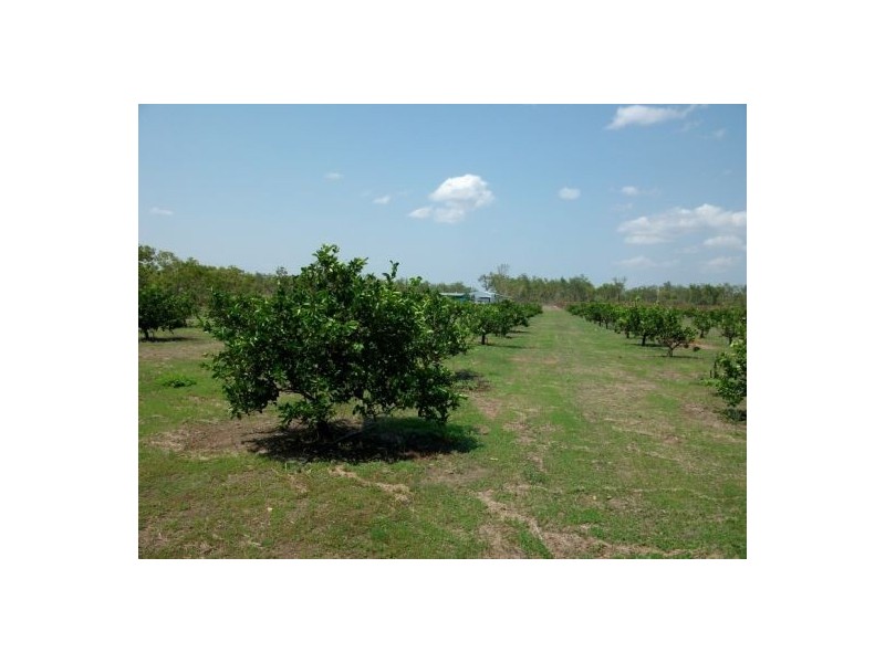 425 / 441 Barr Rd, Marrakai NT 0822