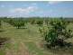 425 / 441 Barr Rd, Marrakai NT 0822