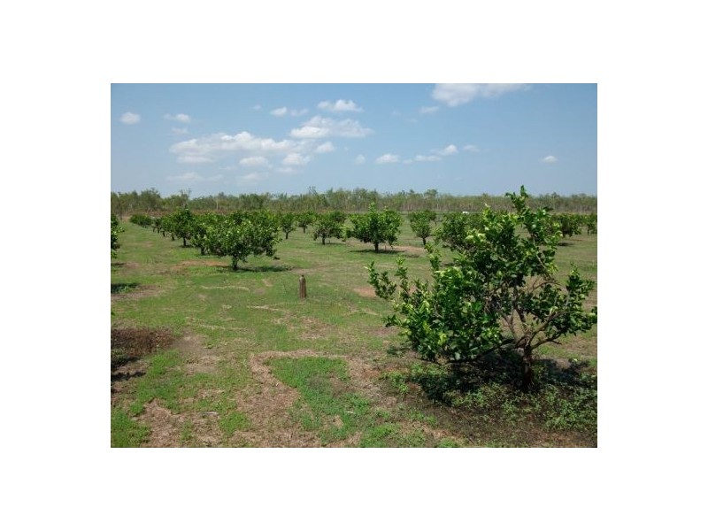 425 / 441 Barr Rd, Marrakai NT 0822