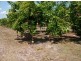 425 / 441 Barr Rd, Marrakai NT 0822