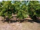 425 / 441 Barr Rd, Marrakai NT 0822