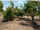 425 / 441 Barr Rd, Marrakai NT 0822
