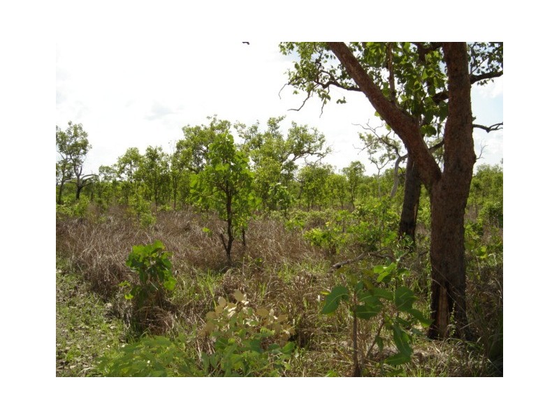 405 Wright Road, Marrakai NT 0822