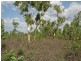 405 Wright Road, Marrakai NT 0822