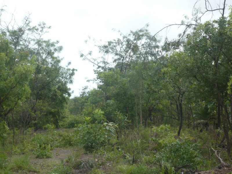 3489 Fog Bay Road, Dundee Downs NT 0840