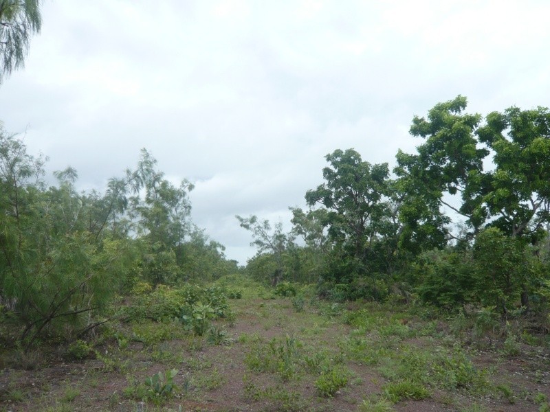 3489 Fog Bay Road, Dundee Downs NT 0840