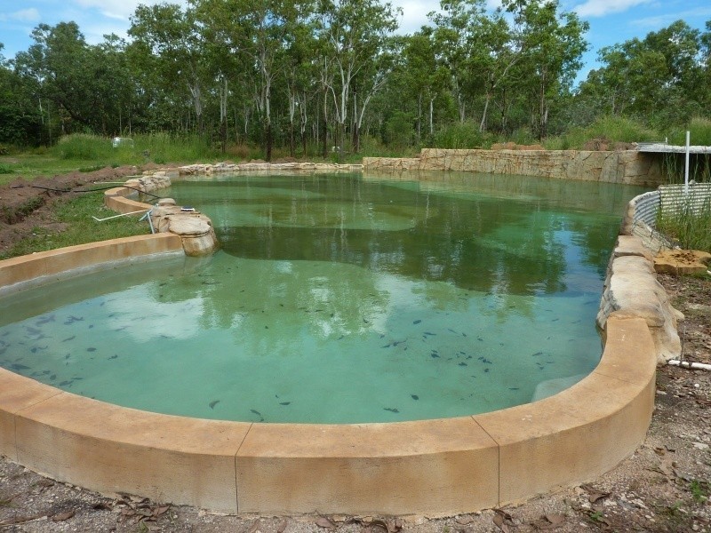 175 Anglesey Rd, Girraween NT 0836