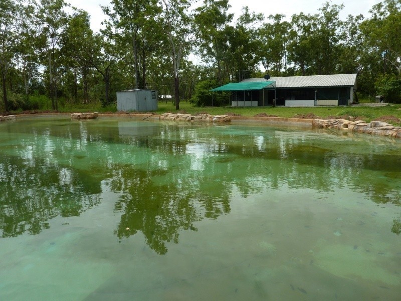 175 Anglesey Rd, Girraween NT 0836