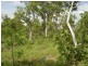 315 Dorat Rd, Adelaide River NT 0846