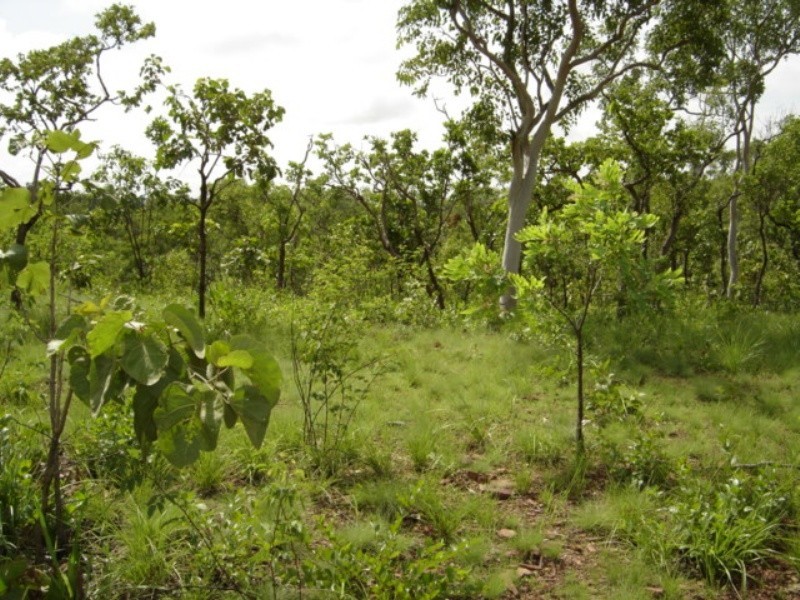 315 Dorat Rd, Adelaide River NT 0846