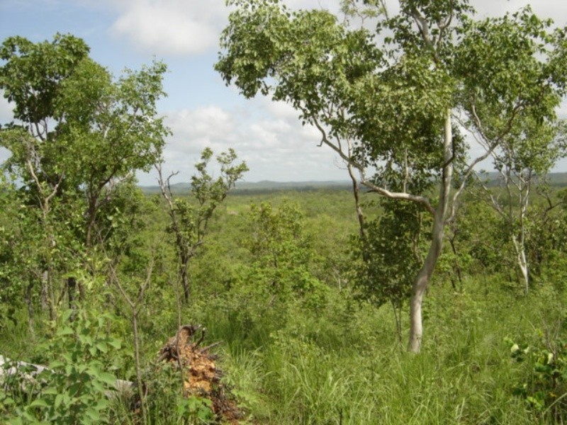 315 Dorat Rd, Adelaide River NT 0846