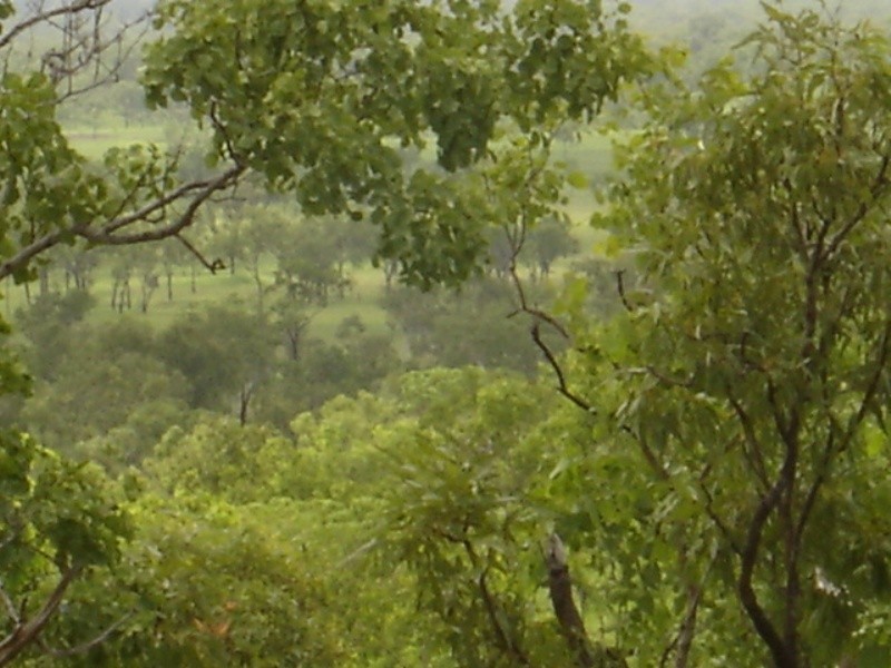 315 Dorat Rd, Adelaide River NT 0846