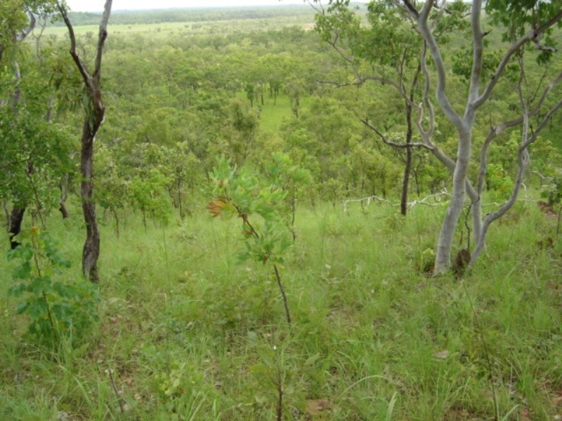 315 Dorat Rd, Adelaide River NT 0846