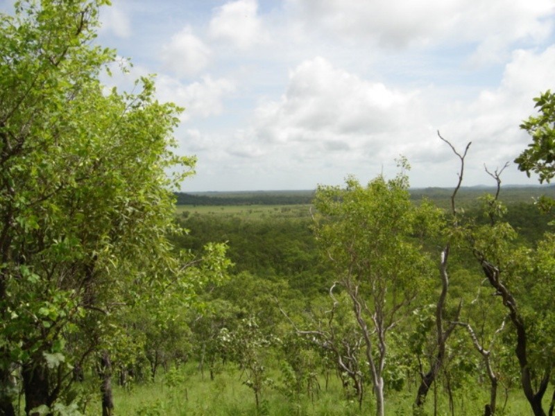 315 Dorat Rd, Adelaide River NT 0846