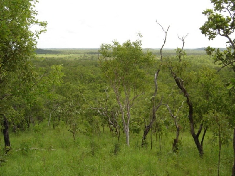 315 Dorat Rd, Adelaide River NT 0846