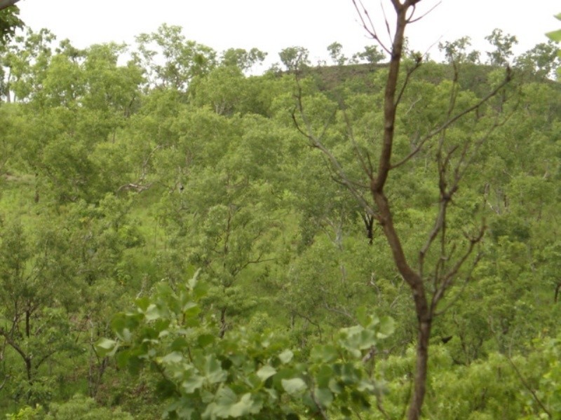 315 Dorat Rd, Adelaide River NT 0846