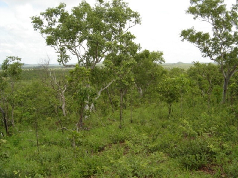 315 Dorat Rd, Adelaide River NT 0846