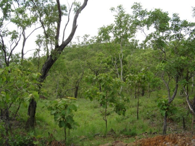 315 Dorat Rd, Adelaide River NT 0846