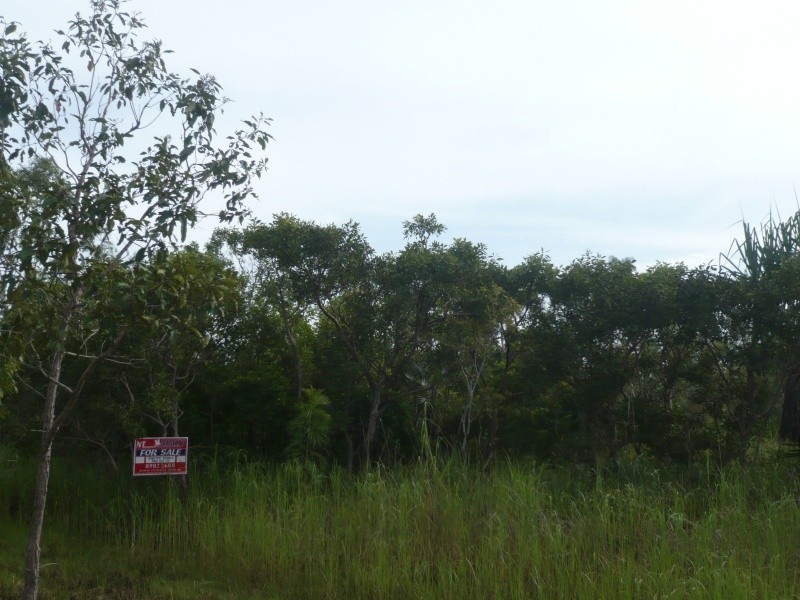 Darwin River NT 0841