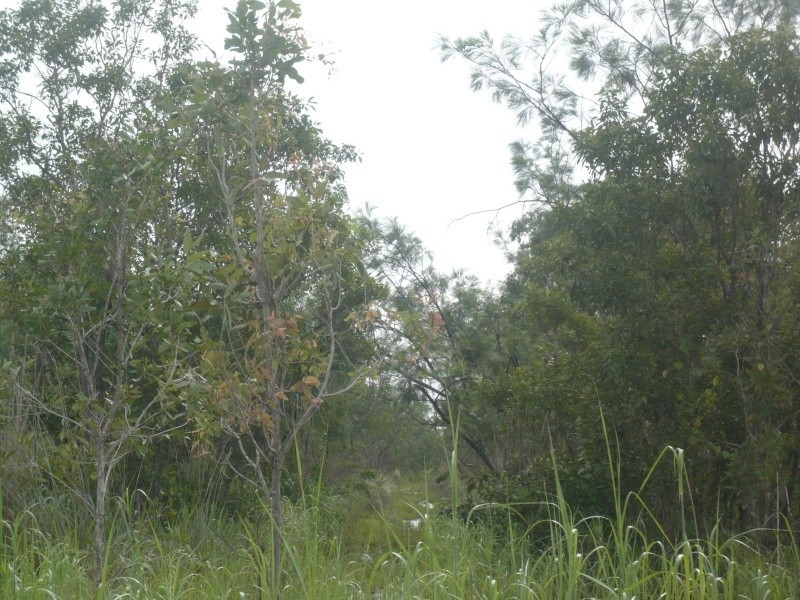 Darwin River NT 0841