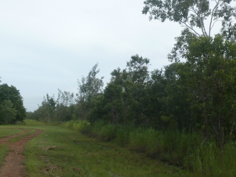 Darwin River NT 0841