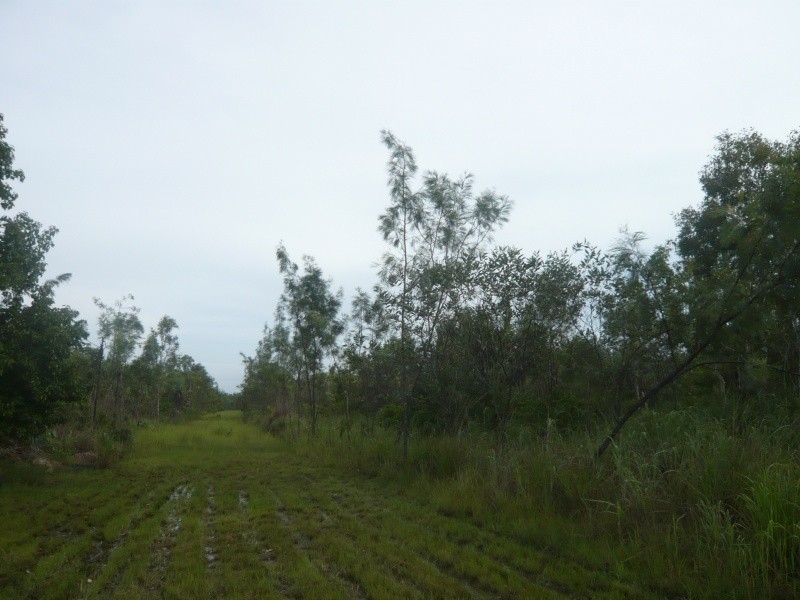 Darwin River NT 0841