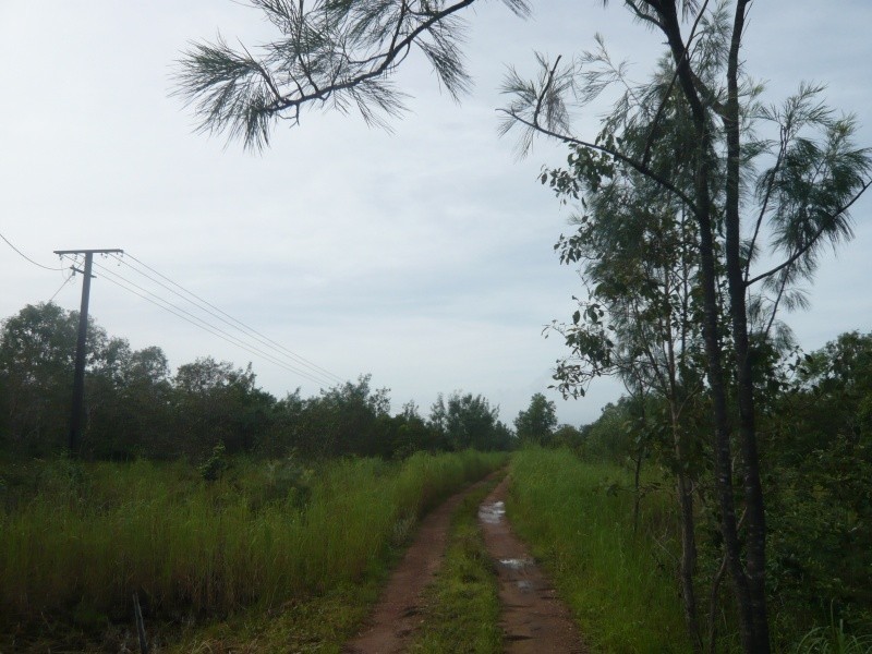 Darwin River NT 0841