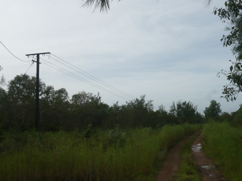 Darwin River NT 0841