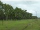 20 Perreau Rd, Batchelor NT 0845