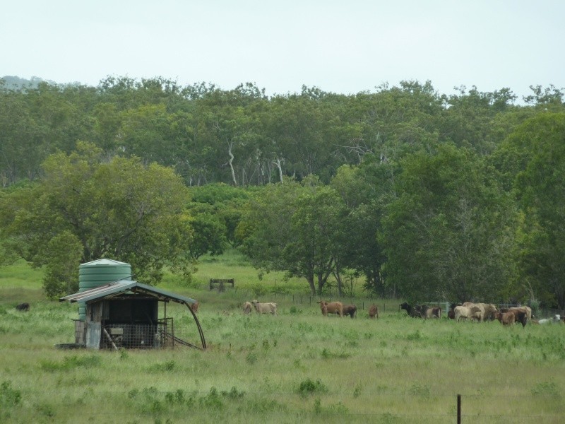 47 Miles Rd, Batchelor NT 0845